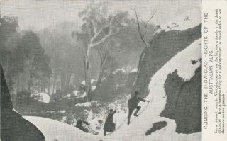 Vintage Postcard Victorian Government Tourist Seriesaustralian Alps 1900s