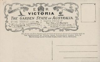 VINTAGE POSTCARD VICTORIAN GOVERNMENT TOURIST SERIESAUSTRALIAN ALPS 1900s 2