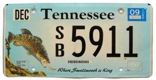 Tennessee 2009 Smallmouth Bass Fishing Wildlife Specialty License Plate 5911