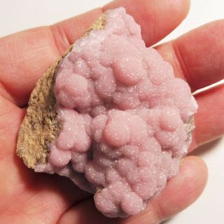 Lustrous Mangano Calcite Cluster,  N’chwaning Mine,  South Africa,  5.  0x4.  4x2.  6 Cm