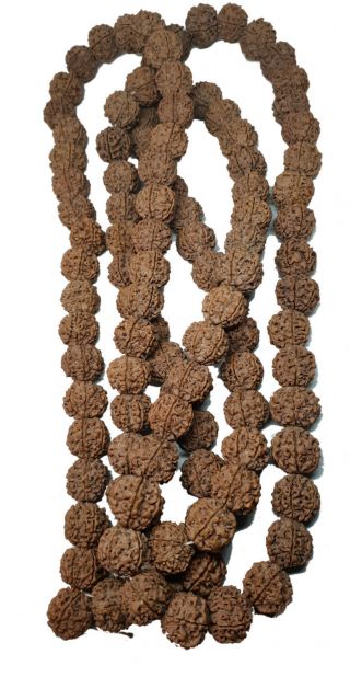 Rudraksha Mala Hindu Buddhist Japa Mala 108,  1 Beads Necklace - 6face 20mm