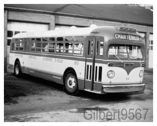 Wertz Motor Coaches (pa) 8 X 10 Bus Photo 80