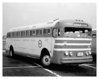 Wertz Motor Coaches (pa) 8 X 10 Bus Photo 107