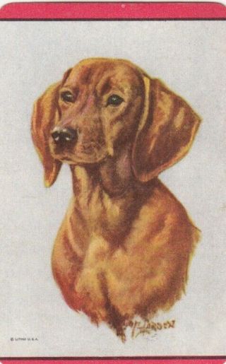 Vintage Usa Blank Back Swap Card - 1 Single - Dogs 6