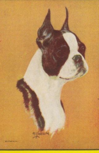 Vintage Usa Blank Back Swap Card - 1 Single - Dogs 3