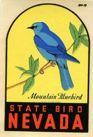 Vintage Nevada State Bird Mountain Bluebird Souvenir Water Travel Decal 1950s