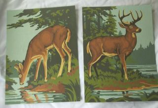 Vintage Paint By Number Pbn Unframed Deer,  Wildlife Motif Set Of 2 9 " X 12 "