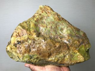 Solid Dendretic Agatized Opal Rough - 19.  5 Lbs From - Africa