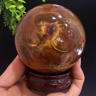 79mm Natural Petrified Wood Jade Surface Ball Crystal Polished Stone,  Stand