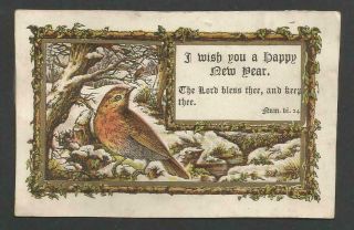 C43 - Early Victorian Year Card - Robin In Snow - Religious Scripture Motto