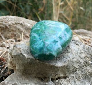 151.  40 ct Cabochon Eilat Stone King Solomon Israel Gemstone Semi - precious 4