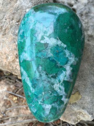 151.  40 ct Cabochon Eilat Stone King Solomon Israel Gemstone Semi - precious 5