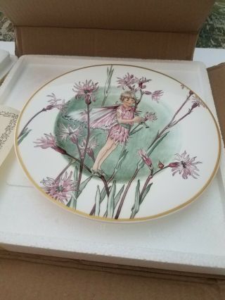 " Ragged Robin " By Cicely Mary Barker Plate - Fairies Of The Fields And Flowers