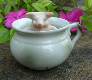 German Porcelain Pig - In - Cup Figural Open Salt Dip,  Cellar,  Dish