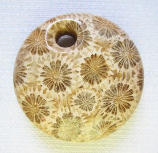 Fossil Coral Cabochon Agatized Coral Agate Pendant 41x41x11mm 130ct 8q260