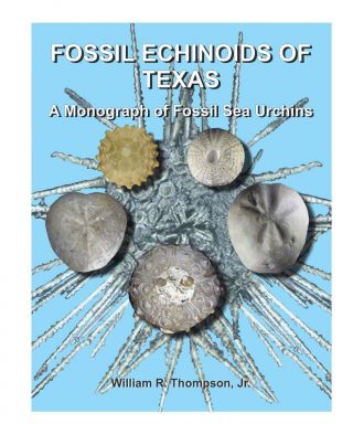 Fossil Echinoid S Of Texas - Book Listing 237 Fossil Sea Urchins Holotypes M