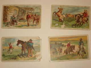 1888 N105 Duke Sons Set Tobacco Card - Cowboy Scenes - Wild Mustangs Only