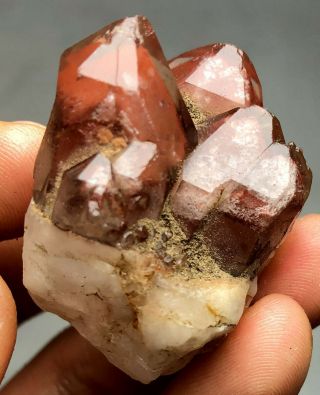 24g Rare Natural Red Ghost " Pyramid " Quartz Crystal Cluster Specimen F650