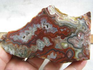 Laguna Lace Agate Face Cut Rough From Mexico For Slabbing Cabbing And Polishing