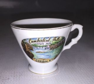 Cumberland Falls State Park Souvenir Mug - Corbin,  Kentucky - Small Tea Cup Mug