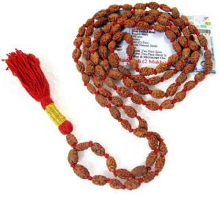 Certified - 2 Mukhi Rudraksha /two Face Rudraksh Mala / Moon Mala - Java - 109 Beads