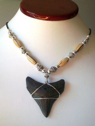 Minty 2 1/8 " Megalodon Shark Tooth Necklace Huge Mark Down On This Beauty