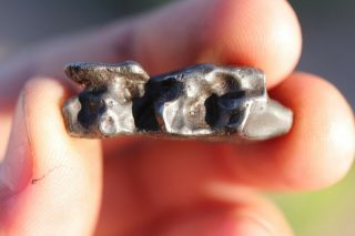 Sikhote Alin Meteorite Individual 9.  1 Grams