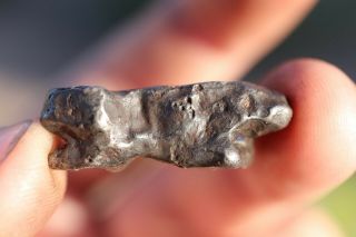 Sikhote Alin Meteorite individual 9.  1 grams 2