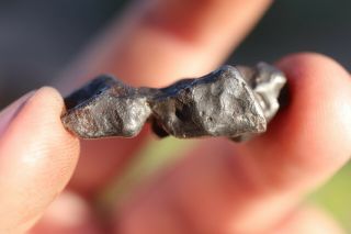 Sikhote Alin Meteorite individual 9.  1 grams 3
