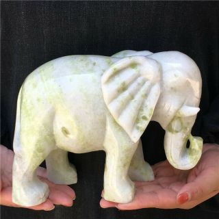6.  33lb Natural Green Jade Elephant Skull Hand Carved Crystal Healing Totem 2291