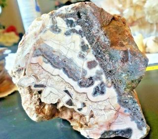 Natural Raw Crazy Lace Agate 3.  5 Pounds