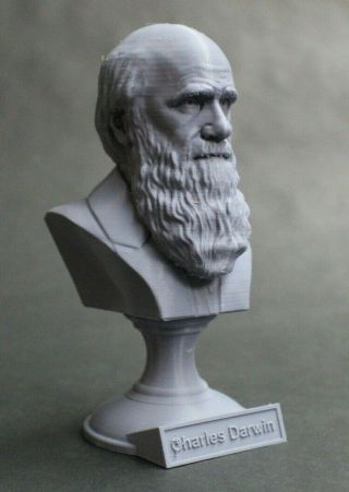 Charles Darwin 5 Inch Famous English Naturist 3d Printed Bust Art