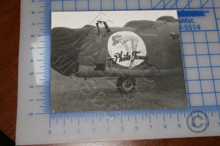 B&w 8x10 Aircraft Photo - F - 7a Liberator 42 - 64184 " Photo Fanny " 2nd Ps