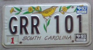 Vintage 1992/93 South Carolina Wren License Plate.