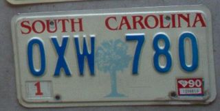 Vintage 1990 South Carolina Palmetto Tree License Plate.