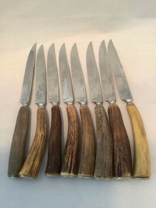 Vintage Solingen Baron Stag Deer Antler Handle Steak Knife Knives Set Of 8 M2