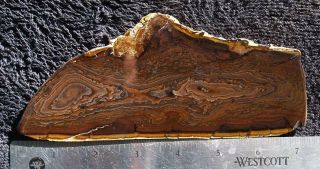 Polished rock slab DESCHUTES jasper - great old stock specimen 3