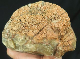 A Huge Fossil Dinosaur Coprolite Or Dino Crap From Jurassic Utah 4377gr E