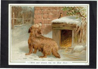 H & F Victorian Year Greetings Card Wire Haired Dog Watching Robin On Kennel
