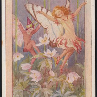 " The Wood Anemone Fairies " Windflower,  Butterfly Wings,  Tarrant,  Medici,  Postcard