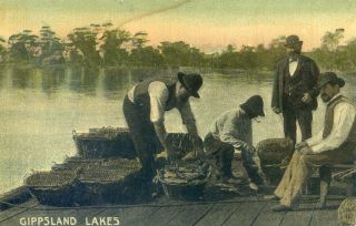Postcard - 1907 Gippsland Lakes Victoria