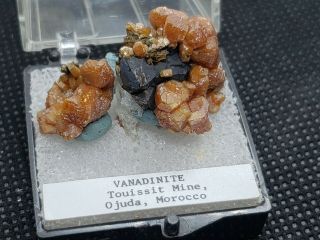 Crystalline Vanadinite Willard Perkins Thumbnail Specimen