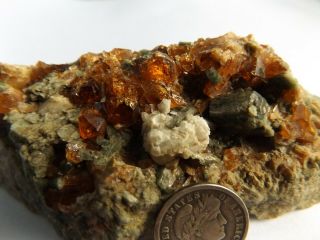 Orange Grossular Garnets In Diopside Pocket Eden Mills,  Vt.  Cabiinet Specimen 5
