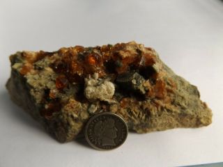 Orange Grossular Garnets In Diopside Pocket Eden Mills,  Vt.  Cabiinet Specimen 6