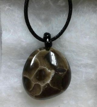 Deep Dark Petoskey Stone Pendant Necklace Michigan Hexagonaria Hand Polished