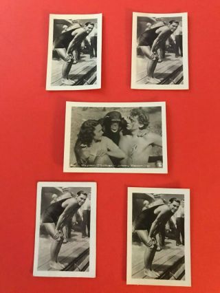 5 Tobacco Cards 19331/32 Tarzan Johnny Weissmuller