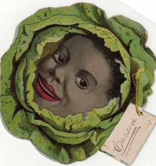 Rare 1890 C Black Americana Cabbage Head Advertising Trade Card Greenfield Il