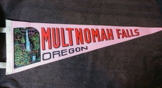 Multnomah Falls Oregon Pennant Flag Vintage Hot Pink