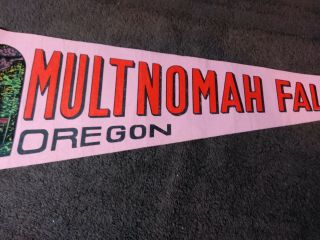 Multnomah Falls Oregon PENNANT FLAG Vintage Hot Pink 3