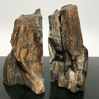 Vtg Eclectic 2pc Fossilized Petrified Wood Stone Rock Bookends Statue Figurines